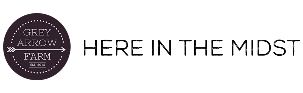 Here In The Midst Logo
