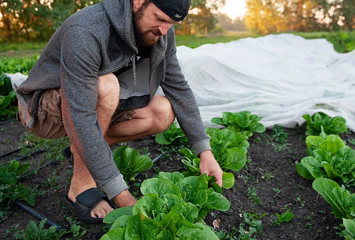 Our Favourite Gardening Tools Here In The Midst
